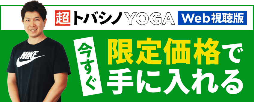 今すぐ限定価格で手に入れる